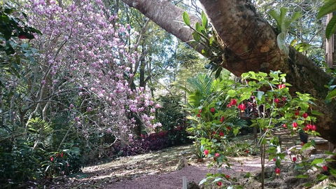 305 Montville - The Artist's Cottage - Accommodation in Surfers Paradise 3