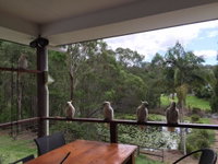 Book Upper Coomera Accommodation Vacations Accommodation in Surfers Paradise Accommodation in Surfers Paradise