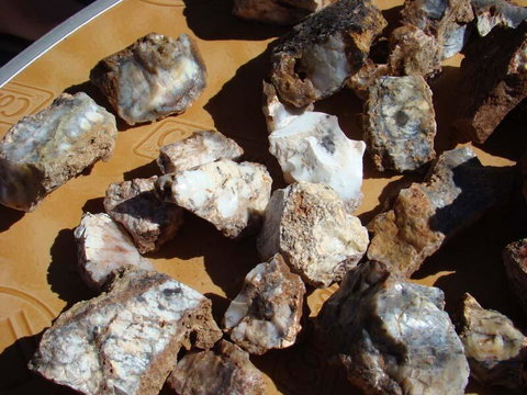 Acclaim Gateway Tourist Park - Accommodation in Surfers Paradise 1