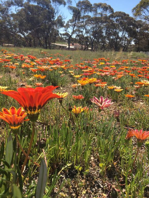 Acclaim Gateway Tourist Park - Accommodation in Surfers Paradise 2