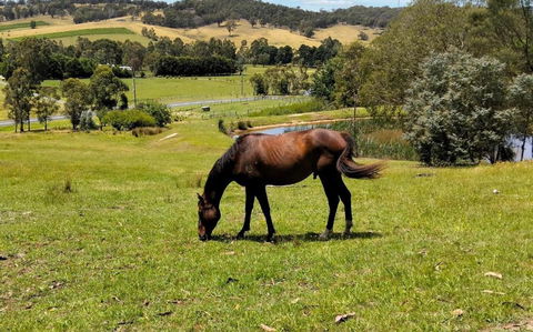 Honeycomb Hill Of Yarra Valley - Accommodation in Surfers Paradise 3