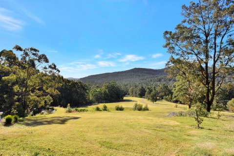 Hunter Valley Kangaroo Retreat With 60 Kangaroos - Accommodation in Surfers Paradise 1