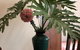Albany Foreshore Guest House - thumb 3