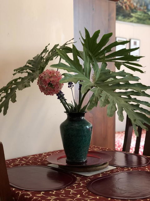 Albany Foreshore Guest House - Accommodation in Surfers Paradise 3