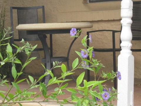 Amalie Cottage Waikerie - Accommodation in Surfers Paradise 0