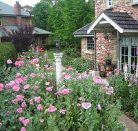 Annie's cottage - Accommodation in Surfers Paradise