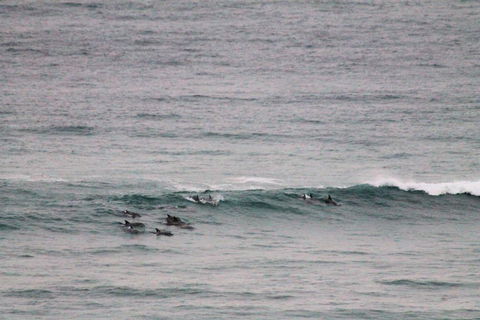 Apartment On King Street - Accommodation in Surfers Paradise 1