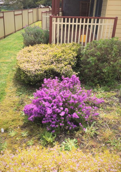 Marsden Court Apartments Now Incorporating Marsden Court And Sharonlee Strahan Villas - Accommodation in Surfers Paradise 2