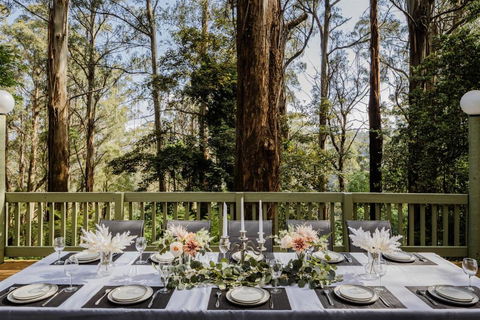 Modern Seednest Treehouse, Forest & Mountain View - Accommodation in Surfers Paradise 2