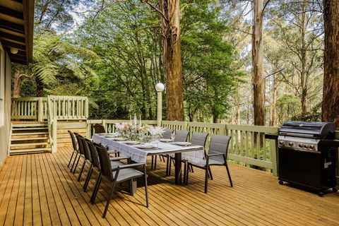 Modern Seednest Treehouse, Forest & Mountain View - Accommodation in Surfers Paradise 1