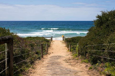 Mona Vale Surf To Tee - Accommodation in Surfers Paradise 1