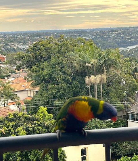 Mosman Views, 2bed, Parking, 15min Walk To Beach - Accommodation in Surfers Paradise 1