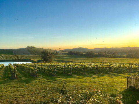 Mount Hope Estate Vineyard - Accommodation in Surfers Paradise 0