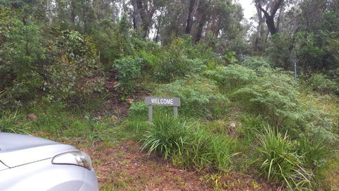 Mountain Tranquility - Accommodation in Surfers Paradise 3