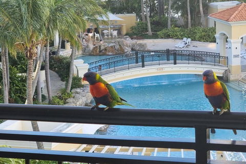 Perfect Apartment 2bd & 2Bth - Accommodation in Surfers Paradise 0
