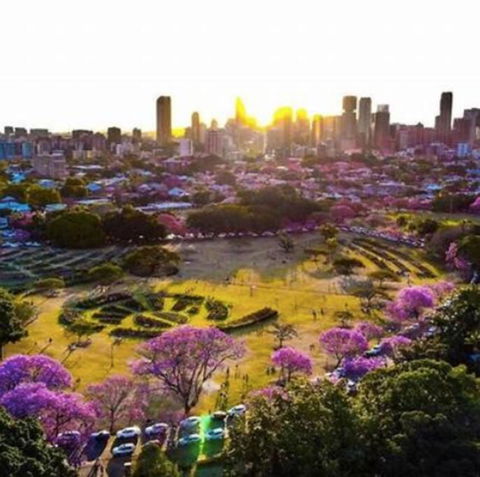Perfect Haven In Spring Hill 2B1B And Parking - Accommodation in Surfers Paradise 2