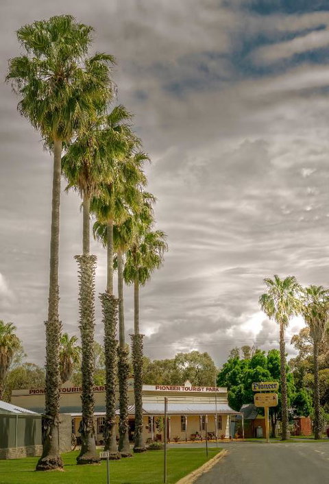 Pioneer Tourist Park - Accommodation in Surfers Paradise 1