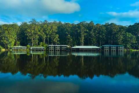 RAC Karri Valley Resort - Accommodation in Surfers Paradise 2