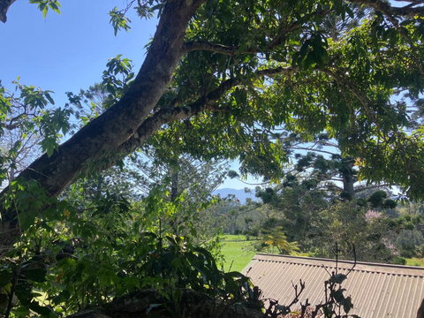 Potters Cottage - Accommodation in Surfers Paradise 3