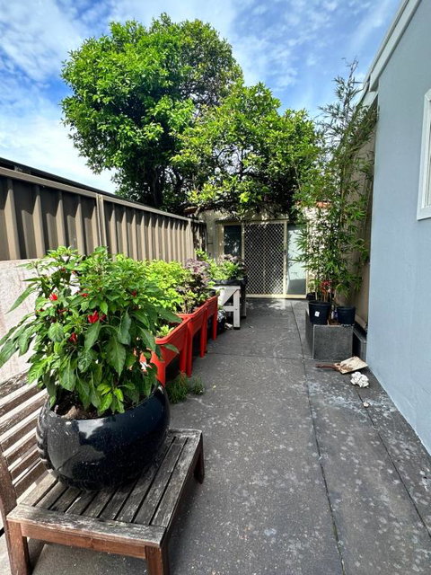 Private, Local Living Studio In Mascot, Airport - Accommodation in Surfers Paradise 2