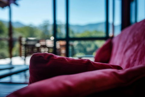 Promised Land Retreat - Accommodation in Surfers Paradise 1