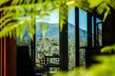 Promised Land Retreat - Accommodation in Surfers Paradise 2