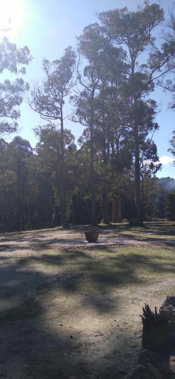 Rail Trail Retreat - Accommodation in Surfers Paradise 2