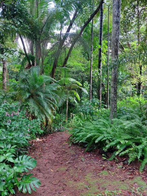 Rainforest Retreat-Fireplace-BBQ-3 Acres- - Accommodation in Surfers Paradise 0