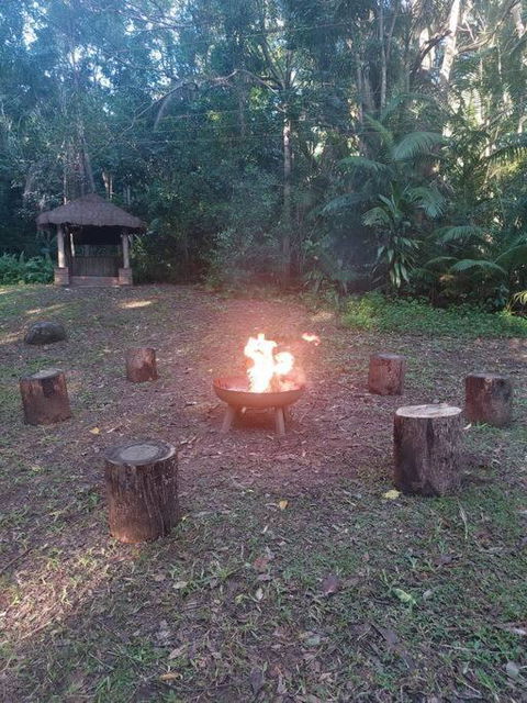 Rainforest Retreat-Fireplace-BBQ-3 Acres- - Accommodation in Surfers Paradise 2