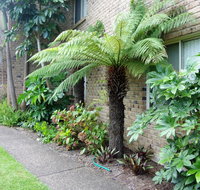 Beachfront Apartments - Accommodation in Surfers Paradise