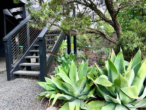 Rhyll Home With A View - Accommodation in Surfers Paradise 1