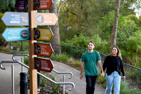 Roar And Snore - Accommodation in Surfers Paradise 2