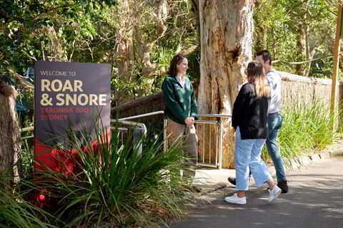Roar And Snore - Accommodation in Surfers Paradise 1
