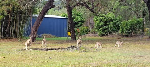 Roo Or 2 On Streeter - Accommodation in Surfers Paradise 0