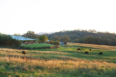 Rosby Guesthouse And Studio - Accommodation in Surfers Paradise 0