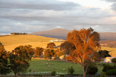Rose Cottage Yarra Glen - Accommodation in Surfers Paradise 1