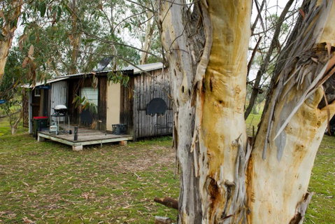 Rustic Cabin With Moon Bathing For A City Escape - Accommodation in Surfers Paradise 0