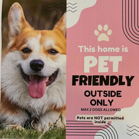 Salt Life - Pet Friendly Outside WIFI - Accommodation in Surfers Paradise 1