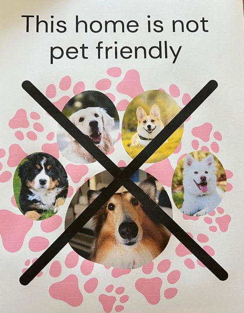 Saltwater Bungalow - WiFi - Accommodation in Surfers Paradise 1