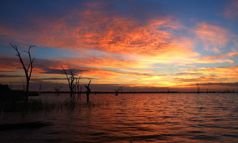 BIG4 NRMA Yarrawonga Mulwala Holiday Park - Accommodation in Surfers Paradise 0