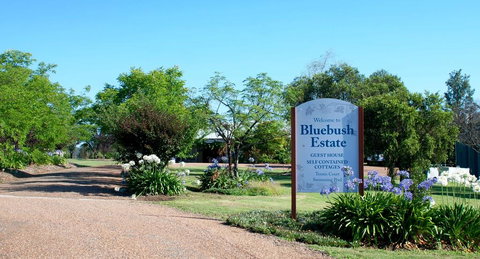 Bluebush Estate - Accommodation in Surfers Paradise 0