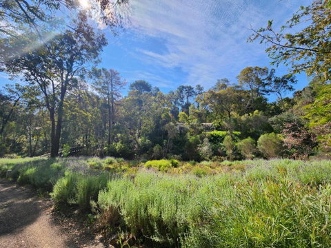 The Lavender Patch - Accommodation in Surfers Paradise 2