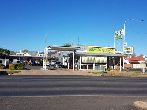 Wattle Tree Motel - Accommodation in Surfers Paradise 0