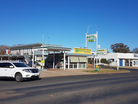 Wattle Tree Motel - Accommodation in Surfers Paradise 1