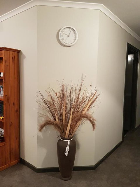 Wudinna Farm View - Accommodation in Surfers Paradise 3
