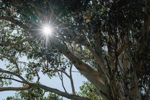 Yarramie - Accommodation in Surfers Paradise 1