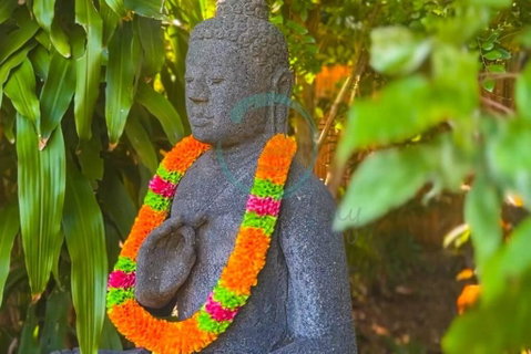 Zenhouse: 6-BR Balinese Tropical Oasis In Nightcliff Central - Accommodation in Surfers Paradise 3