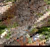 3-Day Kakadu 4WD Camping Safari from Darwin - Accommodation in Surfers Paradise