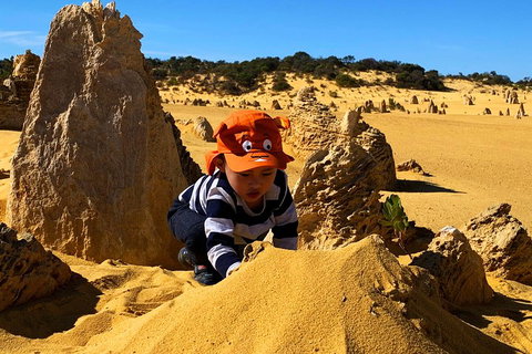 Perth Kids Explorer (Private) Day Tour - Accommodation in Surfers Paradise 3