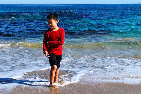 Perth Kids Explorer (Private) Day Tour - Accommodation in Surfers Paradise 4